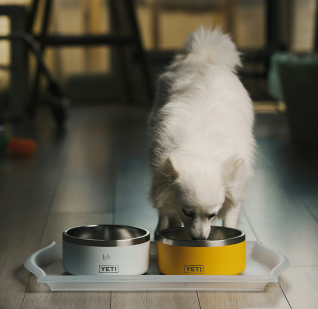 Pig Ears for Dogs: Health Benefits and Risks Explained