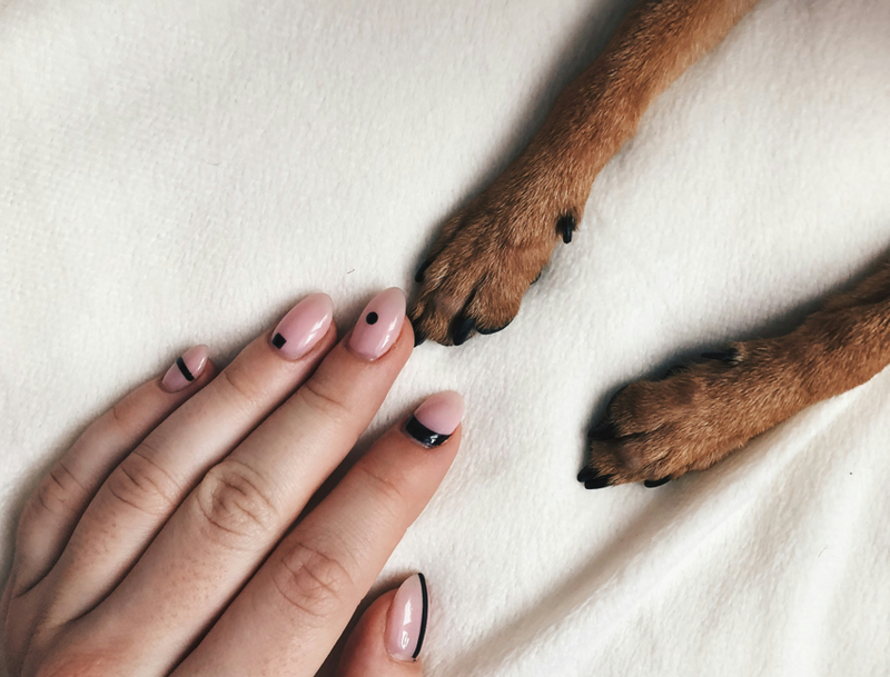 Using Human Nail Polish on Dogs: Safety and Pet-Friendly Options Explained