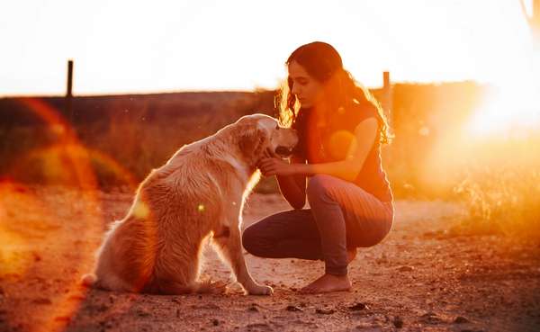 How Dogs (Eventually) Became Our Best Friends