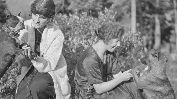 A brief history of dogs