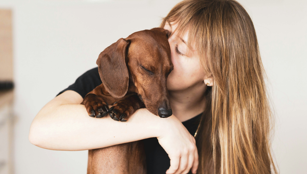 Do Dogs Understand Kisses as a Sign of Affection?