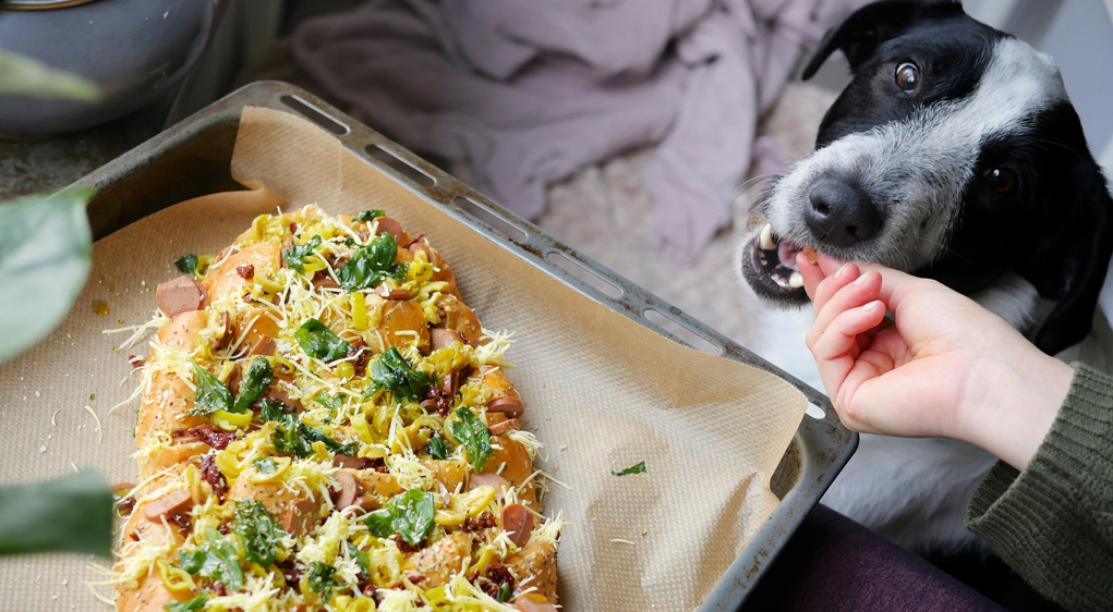 Is Pizza Safe for Dogs? What About Just the Crust?