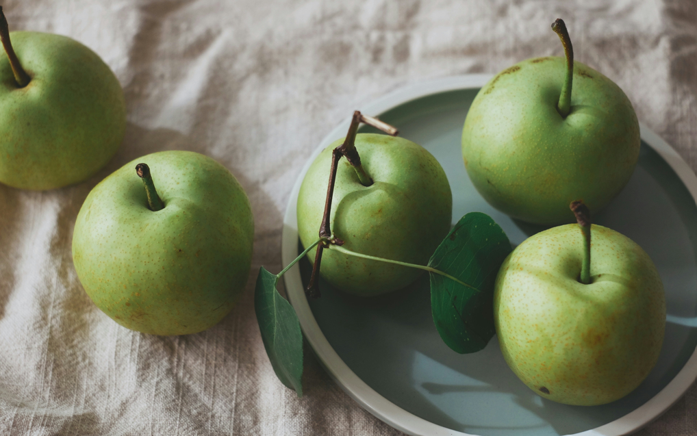Can Dogs Eat Apples? Everything You Should Know
