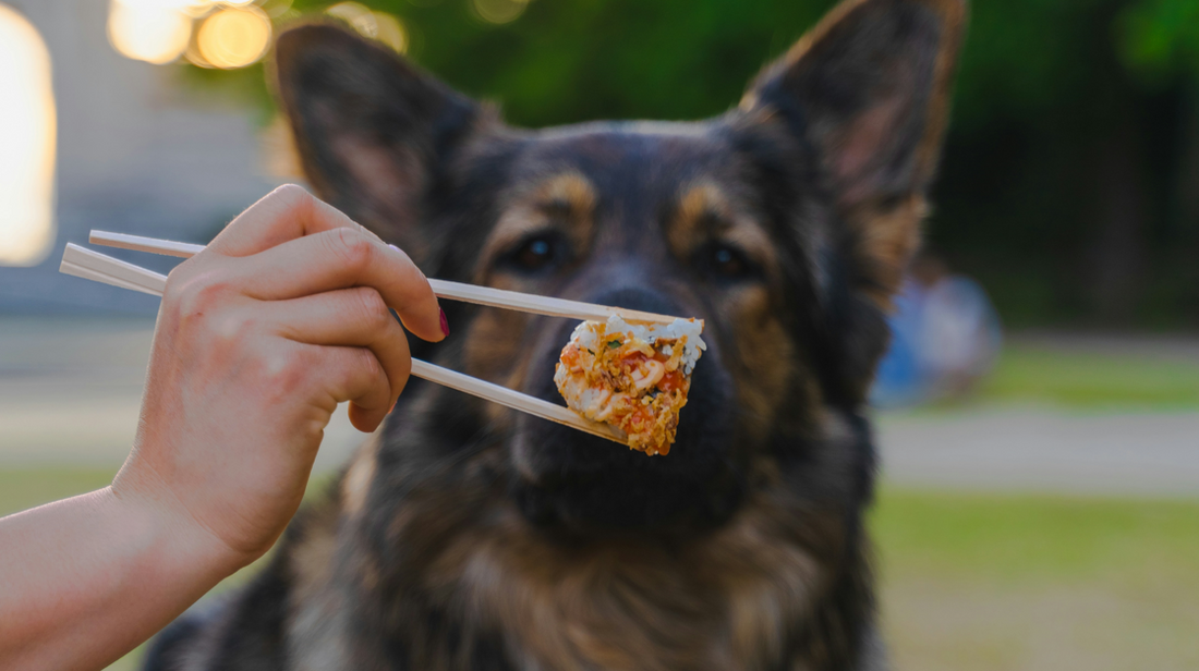 Homemade Meals to Help Dogs Suffering from Skin Allergies