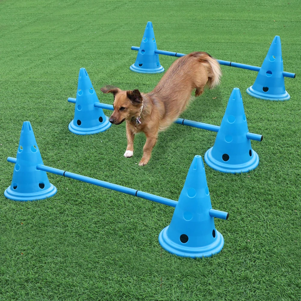 3set Dog Training