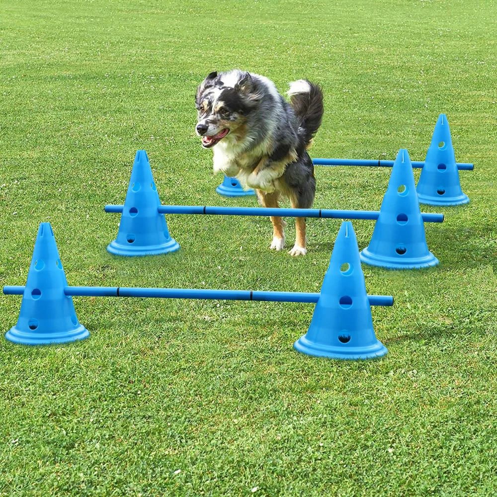 3set Dog Training