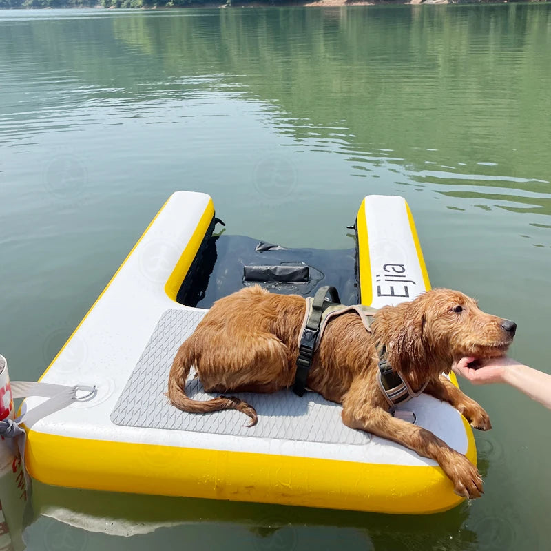 Extra Wide Dog Boat