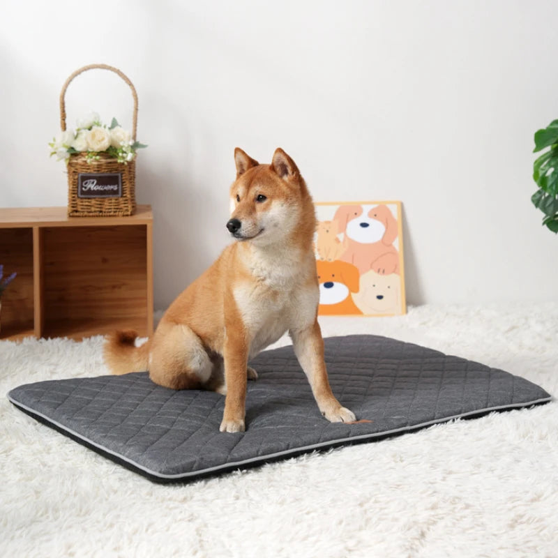 Four Seasons Universal Dog Bed